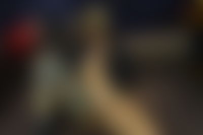 EvaPulido's hot video